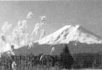 Berg