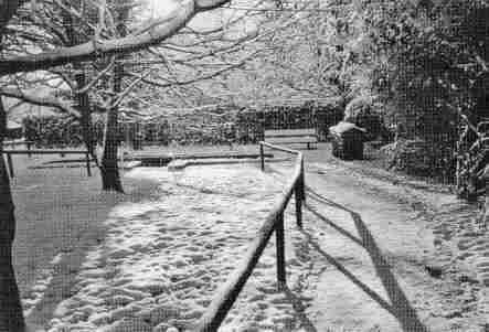 Schnee