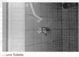 Griffe in Toilette