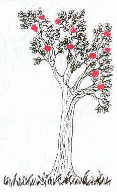 Apfelbaum