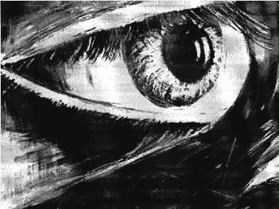 Auge
